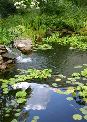 Fototapeta na wymiar homemade pond