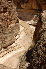 canyon tunisien