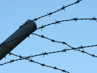 barb wire