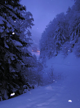 0283-neige en nocturne