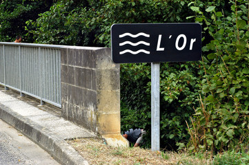 l'or