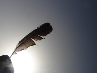 driven feather