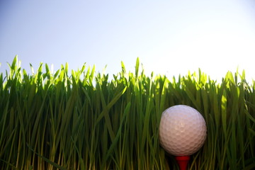 golf ball