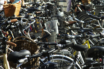 bicycles