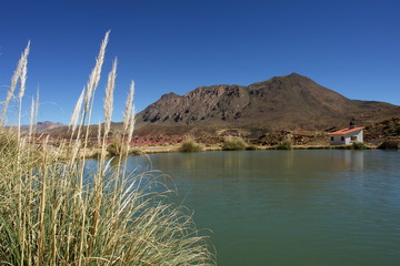 laguna tarapaya