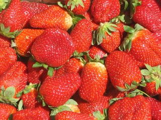 1001 fraises