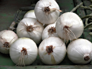 auf dem markt - zwiebeln