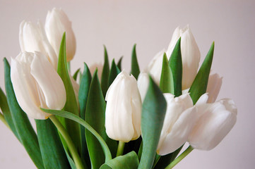 tulipesbouquet