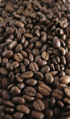 coffee beans