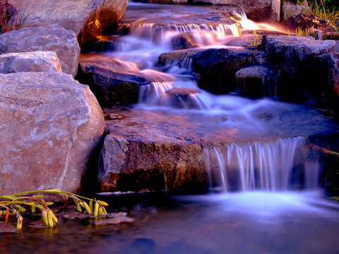 water in the pond