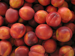 nectarine