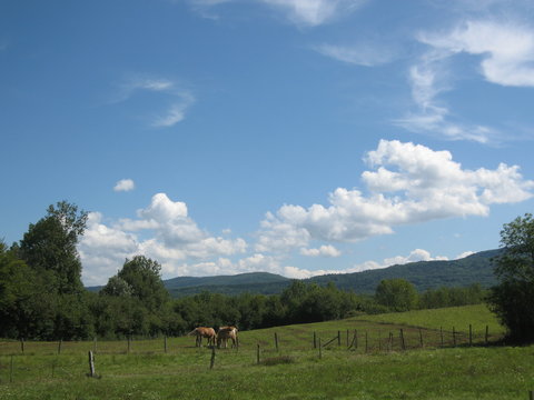 campagne