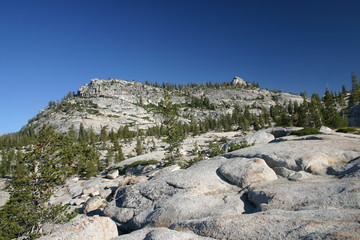 yosemite landscape