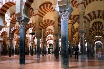 Foto op Plexiglas arches in mezquita in cordoba © Alexander