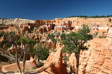 bryce canyon paysage