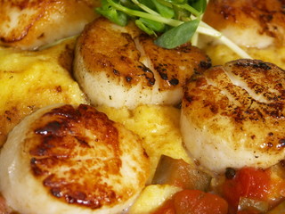 braised scallops