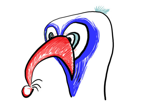 irate bird