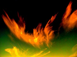 Fototapeta premium fire phoenix