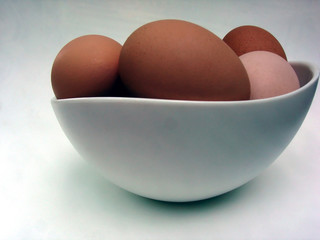 eggs