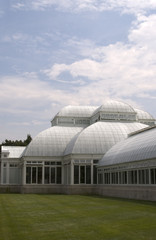Fototapeta na wymiar conservatory green house