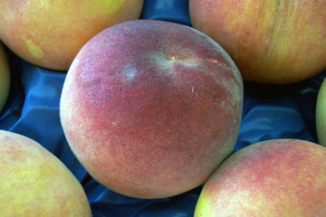 bunch of peaches
