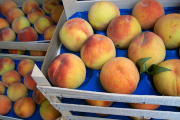 peaches in cases