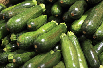 courgette