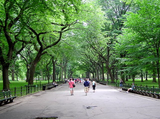 central park walkers