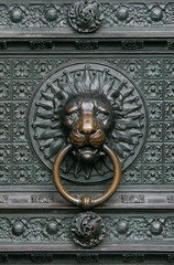 cologne lion