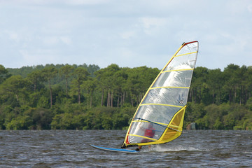 der flotte surfer