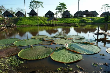 Tuinposter paysage de la ville d iquitos © Loic LUCIDE