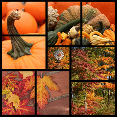 fall collage