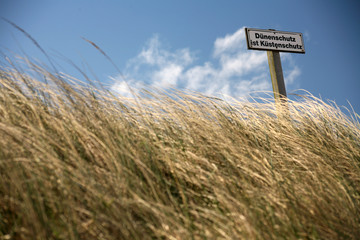 nordsee-dünen
