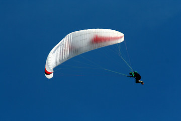 paraglider