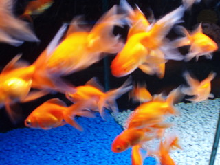 feuer im wasser