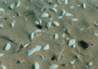 beach sand