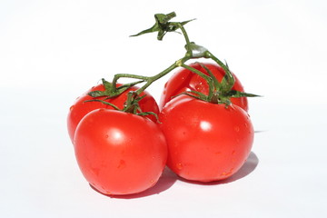 une branche de tomates