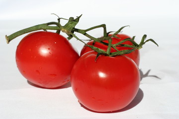 composition avec les tomates