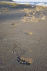 footprint of human