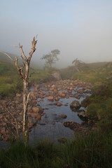 mist in the scottish highlands