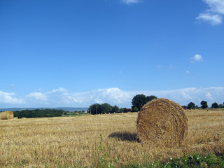 moisson 4