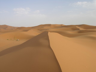 Fototapeta na wymiar dune