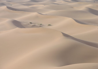 Fototapeta na wymiar désert