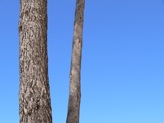 Fototapeta premium à l'ombre
