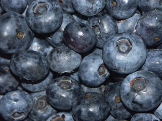 des fruits, des myrtilles