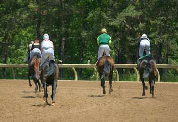 horse racing