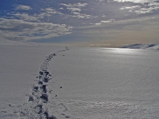 0434-traces de pas dans la neige