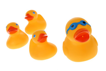 rubber duck family