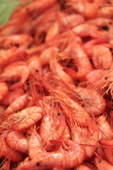 fresh shrimp