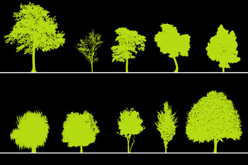 arbres pour coupes et élévations